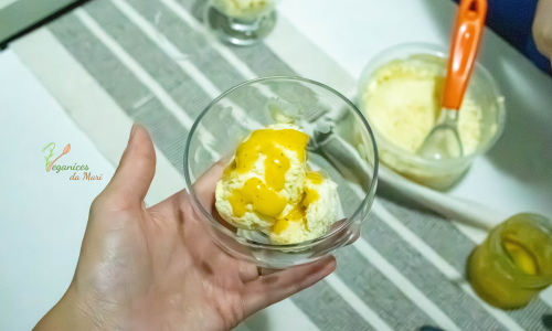 Sorvete Vegano de Maracujá Cremoso: Receita Sem Lactose, Sem Conservantes e Sem Cristais de Gelo
